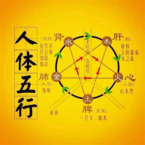 木生火的意思|《易经》经典详解之“木生火”